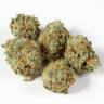 семена конопли курьером LA Cannalope regular DNA Genetics семена конопли курьером LA Cannalope regular DNA Genetics