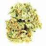 семена конопли недорого Super Silver Haze CBD feminised Green House Seeds семена конопли недорого Super Silver Haze CBD feminised Green House Seeds