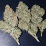 мощные семена конопли Auto Pineapple Express feminised Fast Buds мощные семена конопли Auto Pineapple Express feminised Fast Buds