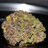 заказать на сайте семена конопли Auto Smoothie feminised Fast Buds заказать на сайте семена конопли Auto Smoothie feminised Fast Buds