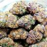 где заказать семена конопли Auto Lemon Zkittle feminised Dutch Passion Seeds где заказать семена конопли Auto Lemon Zkittle feminised Dutch Passion Seeds