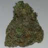 семена индийской конопли Rishi Kush regular Mandala Seeds семена индийской конопли Rishi Kush regular Mandala Seeds