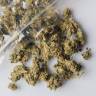 семена конопли Россия Rishi Kush regular Mandala Seeds семена конопли Россия Rishi Kush regular Mandala Seeds