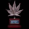 качественные семена конопли OG Kush CBD feminised Dinafem Seeds качественные семена конопли OG Kush CBD feminised Dinafem Seeds