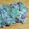 заказ семян конопли Спб Blue feminised заказ семян конопли Спб Blue feminised