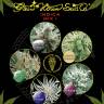 семена конопли в интернете Indica Mix I feminised Green House Seeds семена конопли в интернете Indica Mix I feminised Green House Seeds