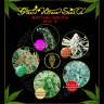 семена конопли феминизированные Sativa/Indica Mix A feminised Green House Seeds семена конопли феминизированные Sativa/Indica Mix A feminised Green House Seeds