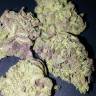 Регулярные сорта конопли Blue Cheese regular Ganja Seeds Регулярные сорта конопли Blue Cheese regular Ganja Seeds