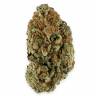 семена конопли недорого Violator Kush feminised Barneys Farm семена конопли недорого Violator Kush feminised Barneys Farm