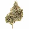 хорошие семена конопли Afghan Hash Plant regular Barneys Farm хорошие семена конопли Afghan Hash Plant regular Barneys Farm